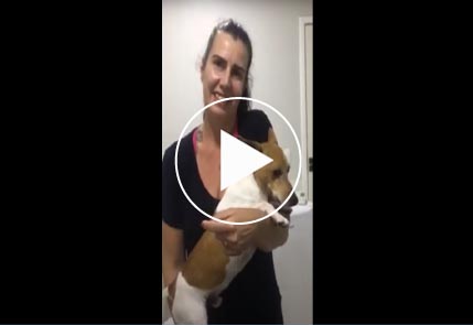 Veterinaria com cachorro no colo