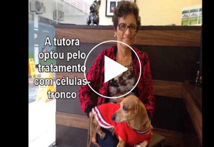 Tutora com gato no colo