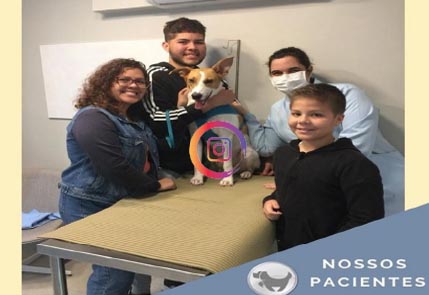 Familia com seu cachorro durante o tratamento