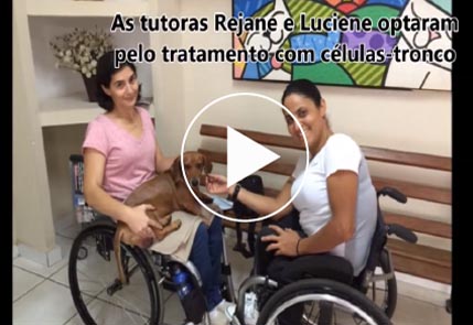 Familia com seu cachorro durante o tratamento