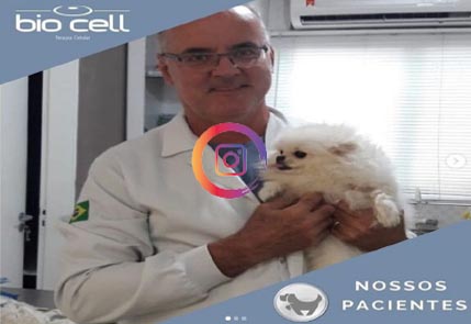 Veterinario com cachorro no colo