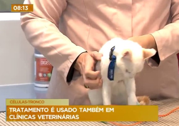 Familia com seu cachorro durante o tratamento