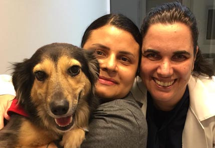 Veterinario dando carinho para cachorro apos tratamento