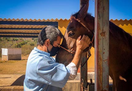 Abraço com cavalo tratato